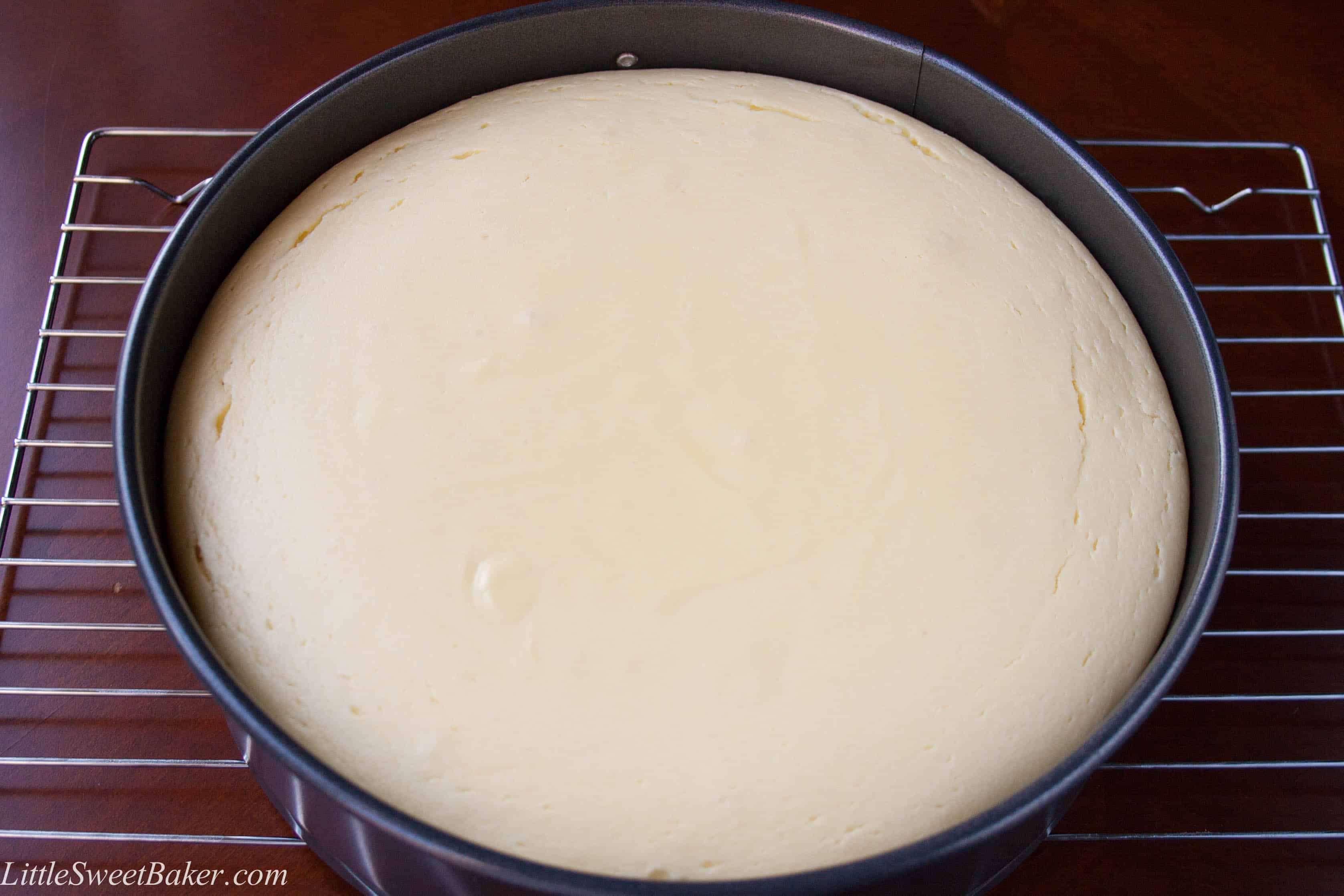 how to make a cheesecake-3