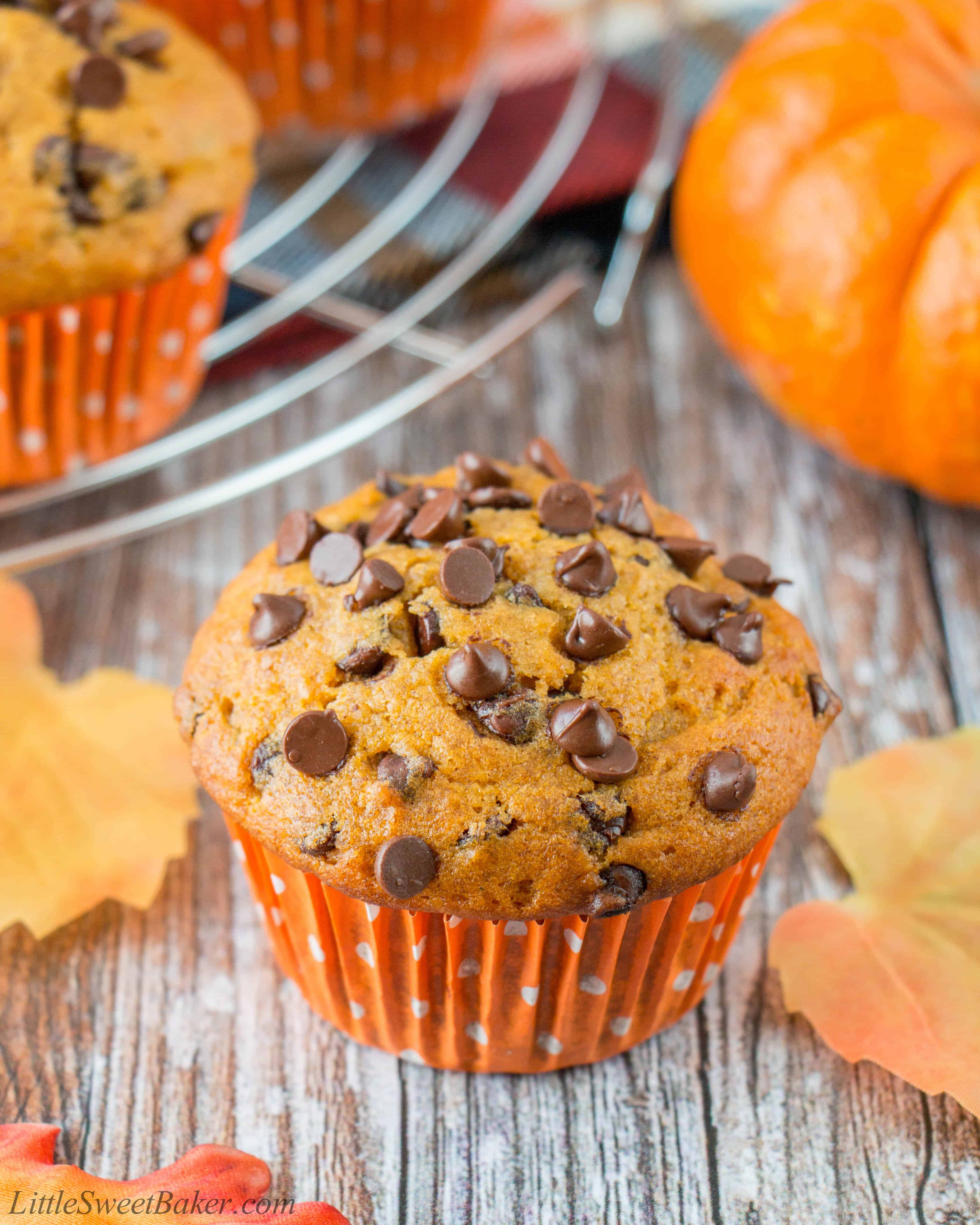 Pumpkin Chocolate Chip Muffins - Little Sweet Baker